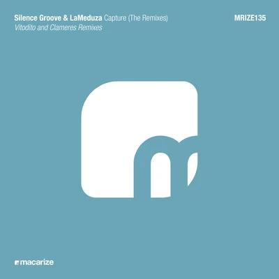 Silence Groove Capture (The Remixes)