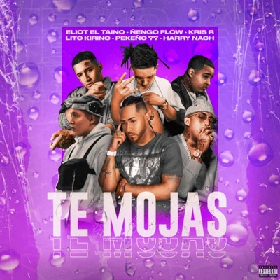 Te Mojas 專輯 I-Majesty/Chyno Nyno/Ñengo Flow