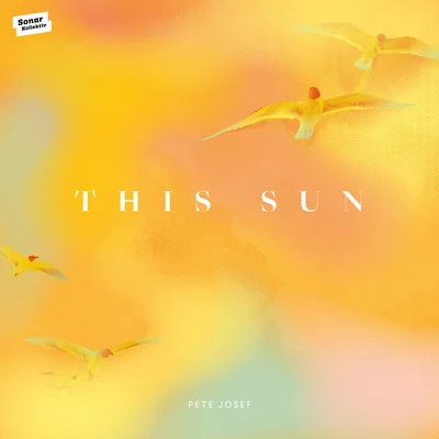 This SunSnatching Time 专辑 Pete Josef/Jody Wisternoff