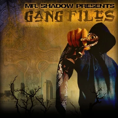 Big BanditMr. Shadow Gang Files