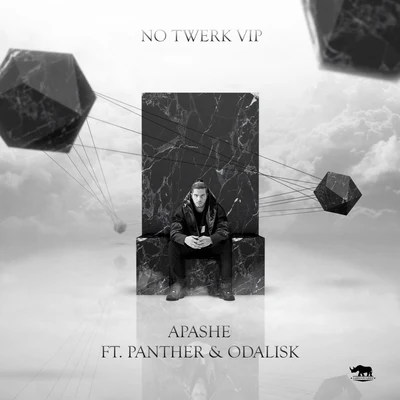 No Twerk VIP 专辑 Apashe