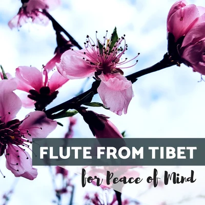 Flute from Tibet for Peace of Mind 專輯 MAASSIVE/Enyo/Dave Till