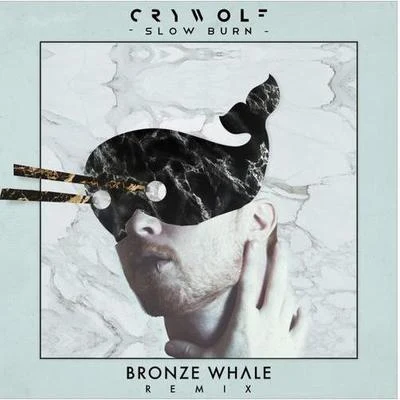 Slow Burn (Bronze Whale Remix) 专辑 Poles/Bronze Whale