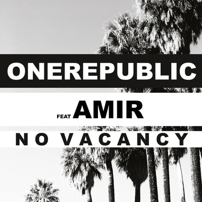 No Vacancy (French Version) 專輯 Daniel Nitt/OneRepublic/Eskju Divine/Amy Macdonald/Hurts