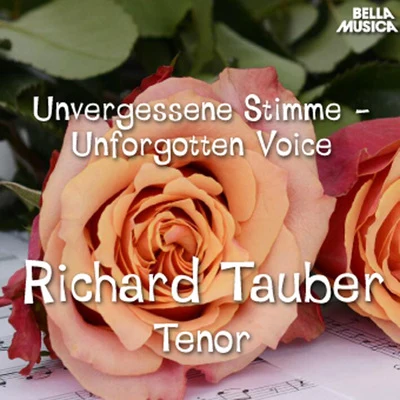 Unvergessene Stimme - Richard Tauber, Tenor 專輯 Ernst Hauke/Richard Tauber/Frieder Weissmann