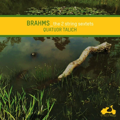 Brahms: The 2 String Sextets 专辑 Talich Quartet