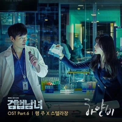 검법남녀 OST Part 6 專輯 Stella Jang/Louie/Hotchkiss/Skyminhyuk/PULLIK