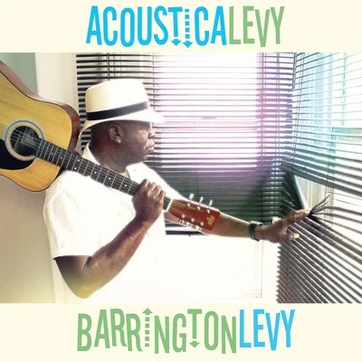 Acousticalevy 專輯 Barrington Levy