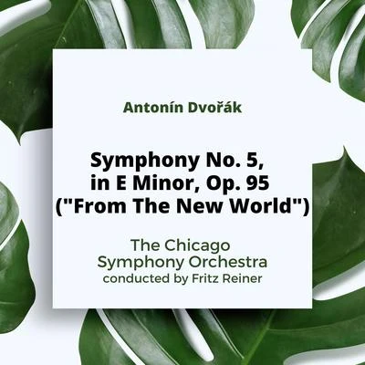 Dvorak: Symphony No. 5, in E Minor, Op. 95 ("From The New World") 專輯 Erica Morini/The Chicago Symphony Orchestra/Desiré Defauw/Pyotr Ilyich Tchaikovsky/Burmester