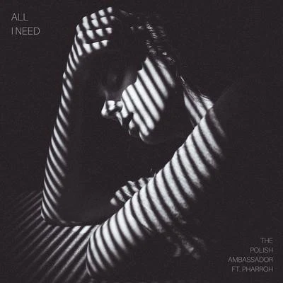 All I Need 專輯 Ayla Nereo/The Polish Ambassador/Wildlight