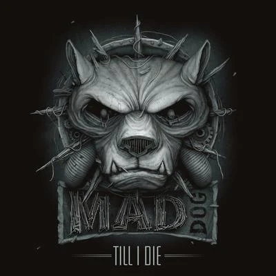 Till I Die 专辑 Dj Mad Dog