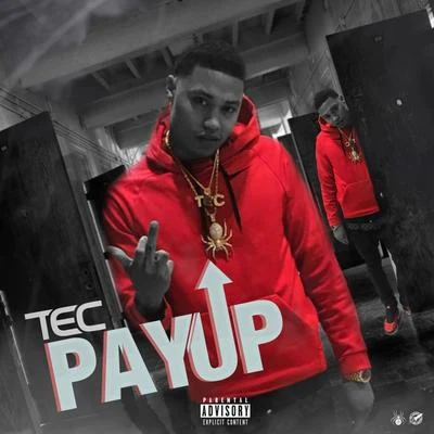 Pay Up 專輯 Maine Musik/She money/TEC/Money Mafia/Master P