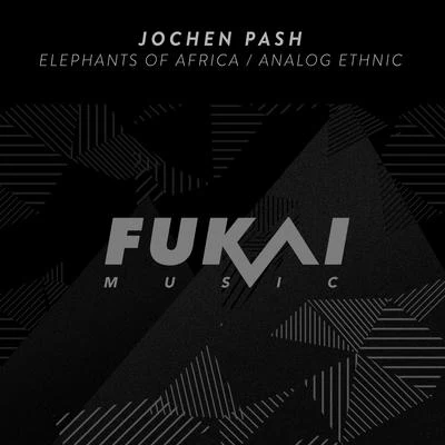 Jochen Pash Elephants of AfricaAnalog Ethnic