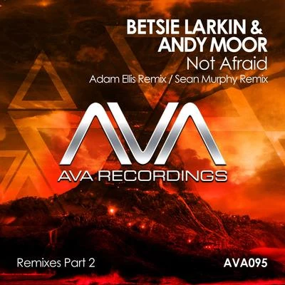 Not Afraid (Remixes Part 2) 专辑 Andy Moor