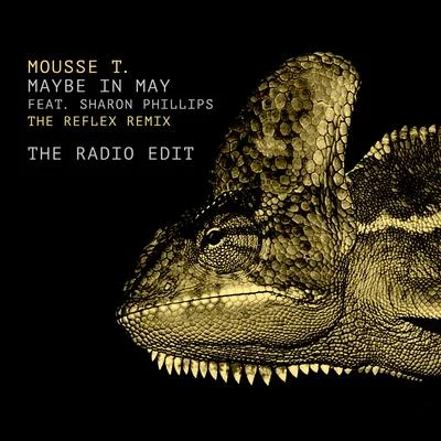 Maybe in May (The Reflex Radio Edit) 專輯 Mousse T./Hot N Juicy