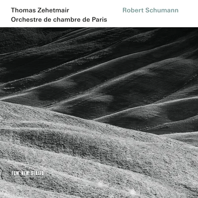 Robert Schumann 專輯 Thomas Zehetmair/Camerata Bern