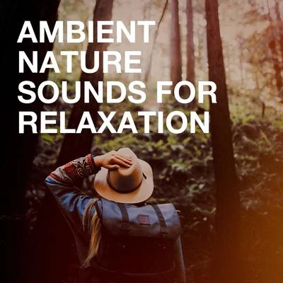 Ambient Nature Sounds for Relaxation 專輯 Sleep Sounds of Nature/Baby Sleep Through the Night/Deep Sleep Music Collective