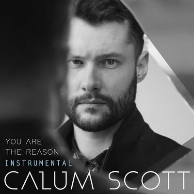 Calum Scott You Are The Reason (Instrumental)