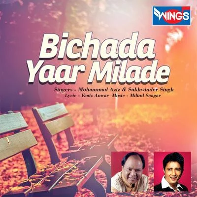 Bichada Yaar Milade 專輯 Mohammed Aziz/Sadhna Sargam/Kumar Sanu/S.P.Balasubramaniam/Alka Yagnik