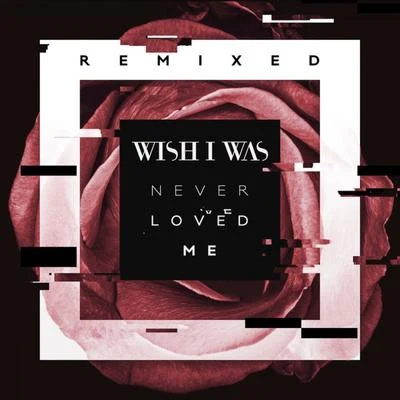 Never Loved Me (Remix) 專輯 Grtr Crtr/Wish I Was