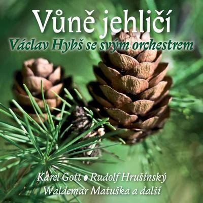 Vůně jehličí 專輯 Václav Hybš Orchestra