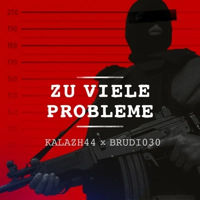 Zu viele Probleme 專輯 Doni44/Brudi030