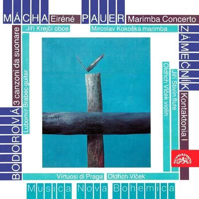 Mácha, Pauer, Bodorová, Zámečník: Chamber Works for Strings 专辑 Jack Martin Haendler/Helsingborg Symphony Orchestra/Avi Ostrowsky/Virtuosi di Praga