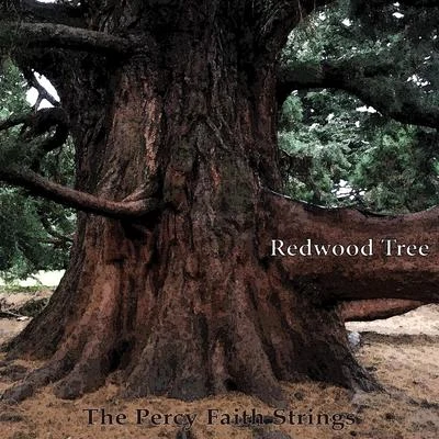 The Percy Faith StringsNed Washington Redwood Tree