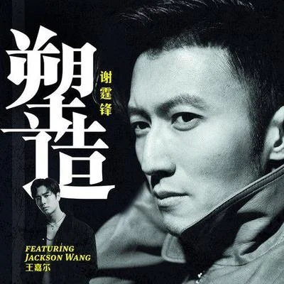 塑造 专辑 谢霆锋 (Nicholas Tse)