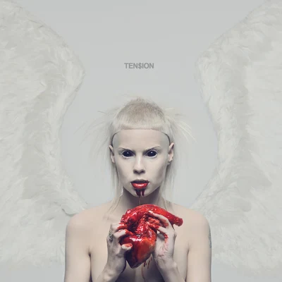 Ten$ion 專輯 Die Antwoord