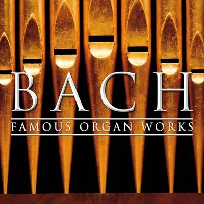 Bach: Famous Organ Works 专辑 Otto Winter