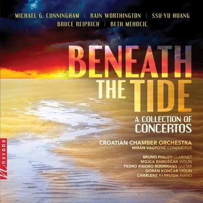 Beneath the Tide 专辑 Jung-won Choi/Miran Vaupotic/John Alan Rose/Moni Simeonov/Sing Rose