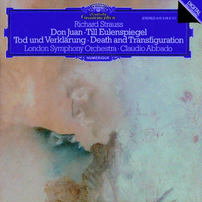 Strauss, R.: Don Juan, Op. 20, Till Eulenspiegel, Op. 28 - Tod und Verklärung, Op. 24 專輯 Michael Davis/Prague Symphony Orchestra/Thomas Newman/Steven Price/Jean-yves Thibaudet