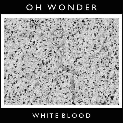 White Blood 專輯 Oh Wonder