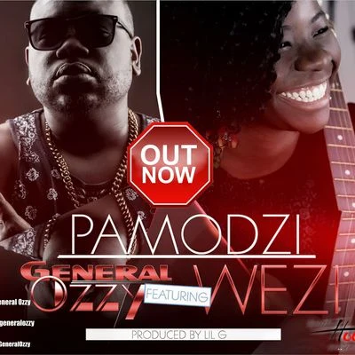 Pamodzi 专辑 General Ozzy/Knii Lante