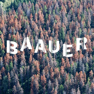 Clang 專輯 Baauer/Bipolar Sunshine