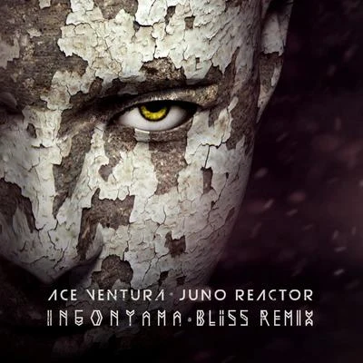 Ingonyama (Bliss Remix) 专辑 Don Davis/Juno Reactor