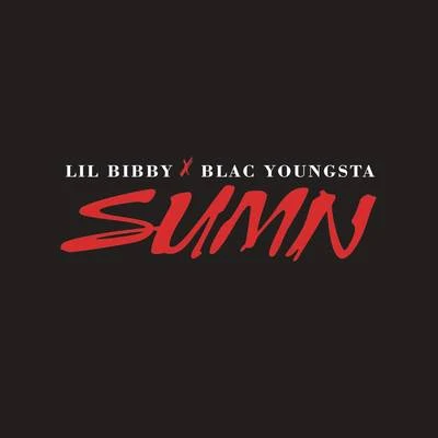 Sumn 專輯 IB Trizzy/Lil Bibby