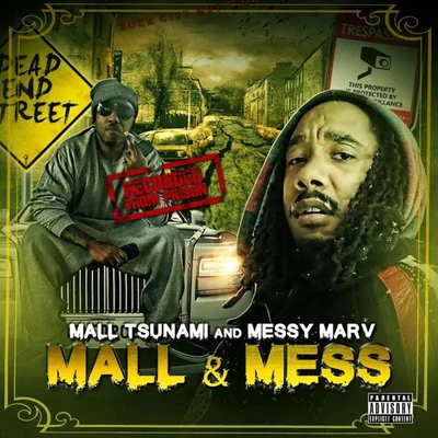 Messy Marv Mall & Mess