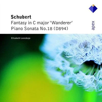 Schubert : wander而fantasy piano sonata no.18 - apex 專輯 Elisabeth Leonskaja/Frederic Chopin