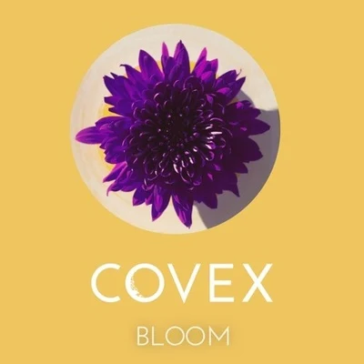 Bloom 專輯 Covex