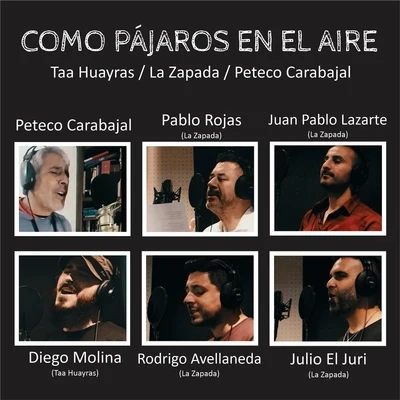 Como Pájaros en el Aire 专辑 Mercedes Sosa/Peteco Carabajal/León Gieco/Antonio Tarragó Ros/Wagner Tiso