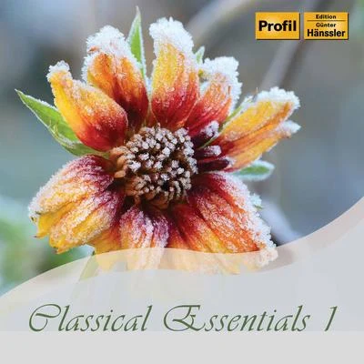 National Philharmonic OrchestraDouglas Gamley Classical Essentials, Vol. 1