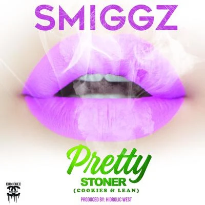 Pretty Stoner (Cookies & Lean) [feat. Hydrolic West] 专辑 Smiggz