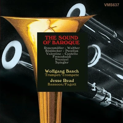 The Sound of Baroque: Music for Trumpet and Bassoon 專輯 Burkhard Glaetzner/Wolfgang Basch/Joseph Haydn/Neues Bachisches Collegium Musicum Leipzig/Ludwig Güttler