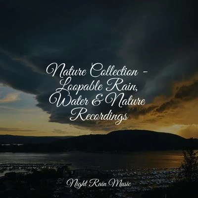 Nature Collection - Loopable Rain, Water & Nature Recordings 專輯 Music to Relax in Free Time/Entspannungsmusik/Alpha Waves