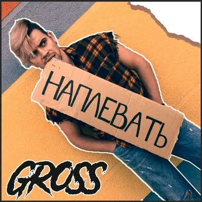 Наплевать 專輯 Gross/Roger Williams/Jack Lawrence