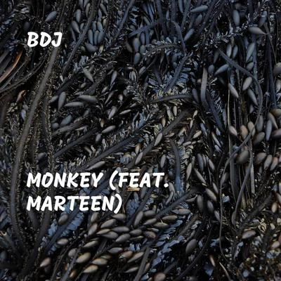 MarteenDigitalMode Monkey (feat. Marteen)