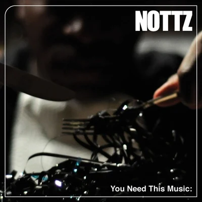 You Need This Music 專輯 Nottz