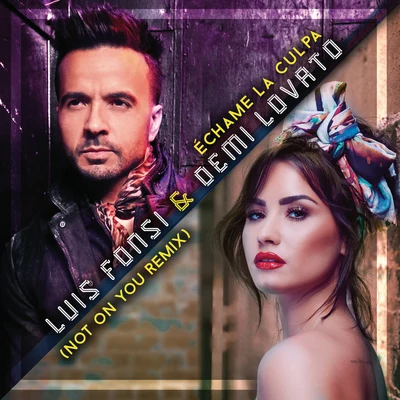 Échame La Culpa (Not On You Remix) 專輯 Luis Fonsi